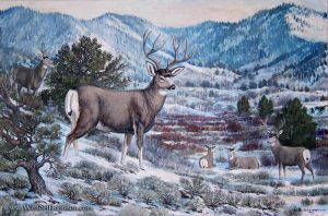 Wintertime Deer by Wendell B. Johnson